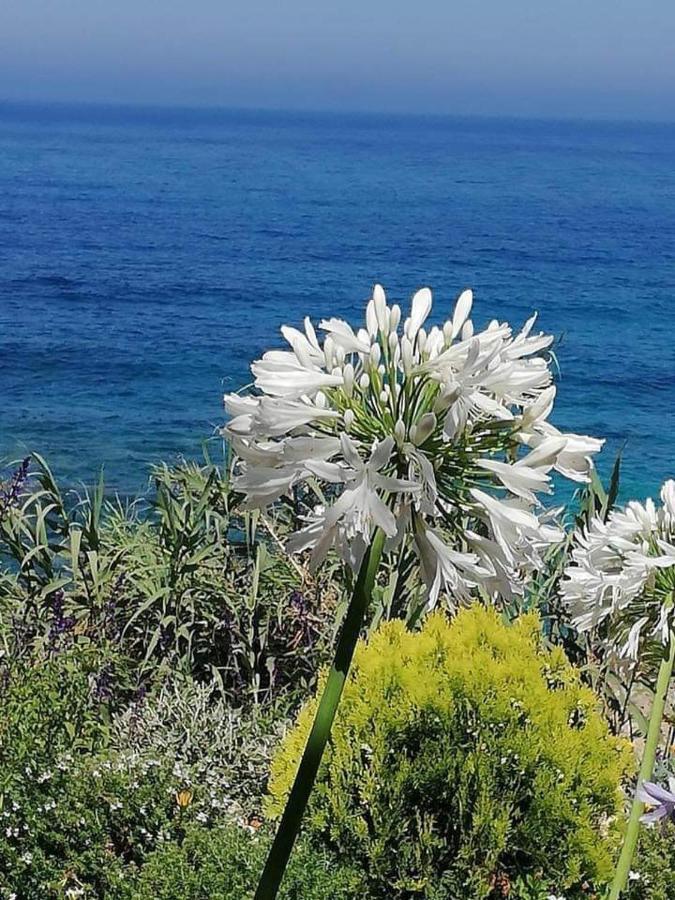 Ikaria Village-Ground Floor Apartment No 4 Klorakas المظهر الخارجي الصورة